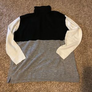 NWOT turtleneck sweater